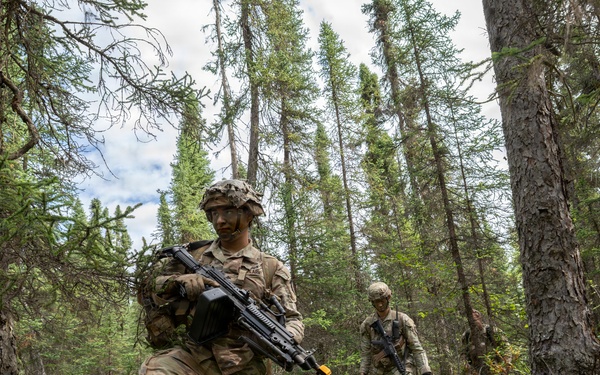 AKARNG's 207th Multi-Functional Training Regiment conducts Infantry Advanced Leader Course