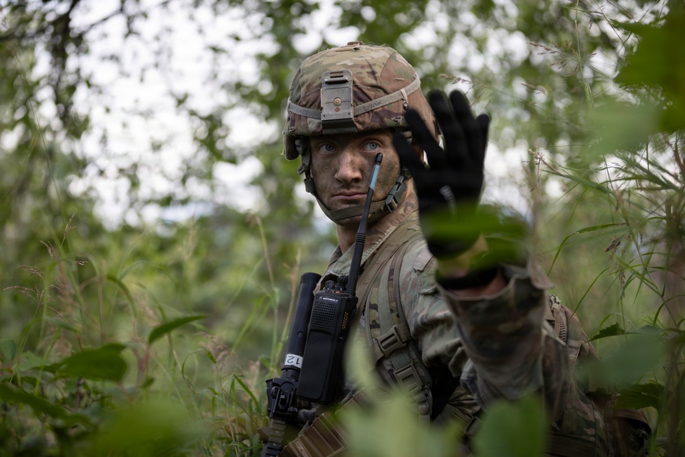 AKARNG's 207th Multi-Functional Training Regiment conducts Infantry Advanced Leader Course