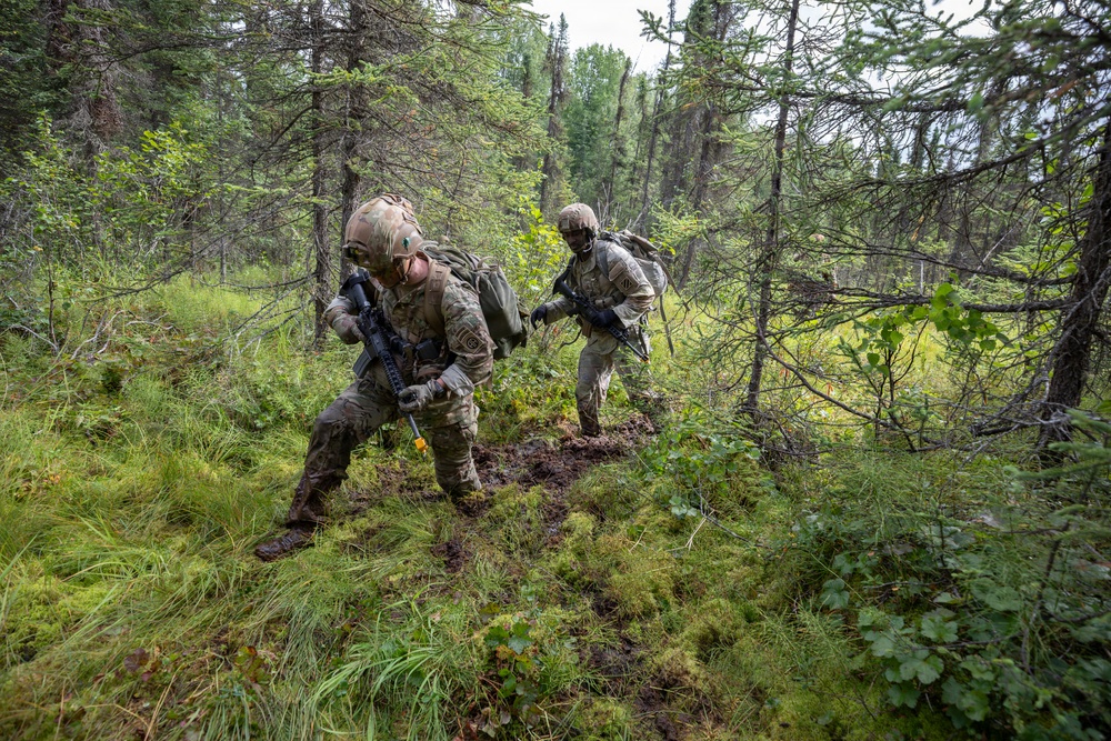 AKARNG's 207th Multi-Functional Training Regiment conducts Infantry Advanced Leader Course