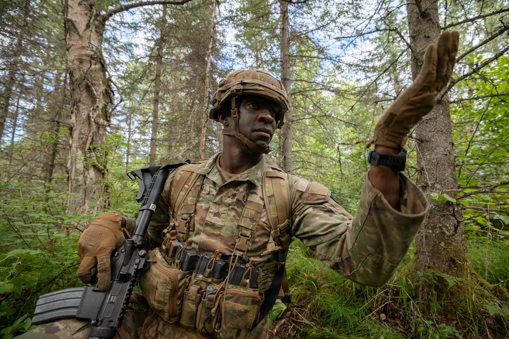 AKARNG's 207th Multi-Functional Training Regiment conducts Infantry Advanced Leader Course