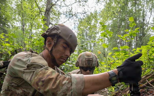 AKARNG's 207th Multi-Functional Training Regiment conducts Infantry Advanced Leader Course