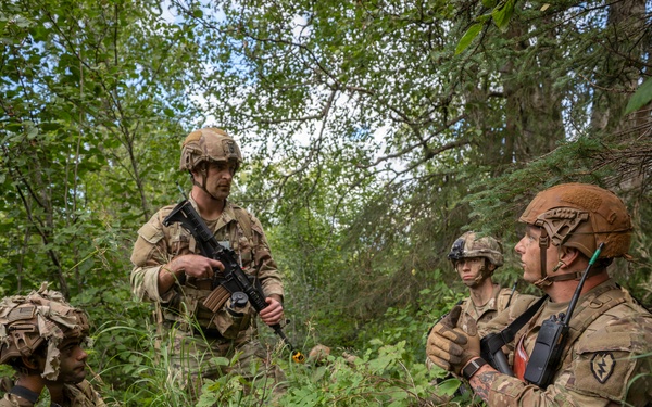 AKARNG's 207th Multi-Functional Training Regiment conducts Infantry Advanced Leader Course