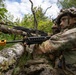 Two soldiers in MultiCam camouflage uniforms are positioned behind a fallen birch tree in a wooded area, operating what appears to be an M249 or M240 belt-fed machine gun. The foreground soldier has camouflage face paint applied and is aiming the weapon over the log, with a visible ammunition belt loaded into the weapon. A yellow training/blank-firing adapter is attached to the muzzle, indicating this is a military training exercise rather than live combat.