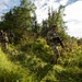 A group of military personnel in camouflage uniforms are conducting a patrol through dense, overgrown vegetation and woodland terrain. The soldiers are armed and moving in a loose formation through tall grass and shrubs. The setting appears to be a training exercise or field operation in a temperate forested environment.