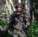 A soldier in full combat gear moves through a forested environment, carrying an assault rifle and wearing multicam camouflage uniform with tactical vest. The individual appears to be on patrol or participating in a field training exercise, navigating dense woodland terrain. The image is professionally composed with sharp focus on the subject against a softly blurred forest background.