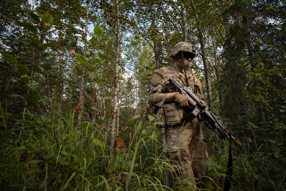 A single soldier in full combat gear stands in a dense woodland environment. The soldier is equipped with a rifle, tactical vest, helmet, and protective eyewear, appearing to be on patrol or conducting a field exercise. The forest setting features mixed deciduous and coniferous trees with dense undergrowth.