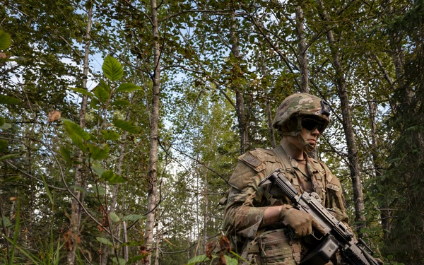AKARNG's 207th Multi-Functional Training Regiment conducts Infantry Advanced Leader Course