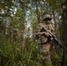 A single soldier in full combat gear stands in a dense woodland environment. The soldier is equipped with a rifle, tactical vest, helmet, and protective eyewear, appearing to be on patrol or conducting a field exercise. The forest setting features mixed deciduous and coniferous trees with dense undergrowth.