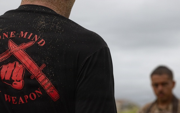 3rd MLR Martial Arts Instructor Course Culminating Event