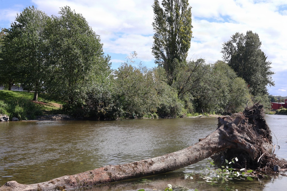 U.S. Army Corps of Engineers repairing City of Renton's Cedar River Levee
