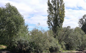 U.S. Army Corps of Engineers repairing City of Renton's Cedar River Levee