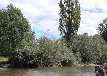 U.S. Army Corps of Engineers repairing City of Renton's Cedar River Levee