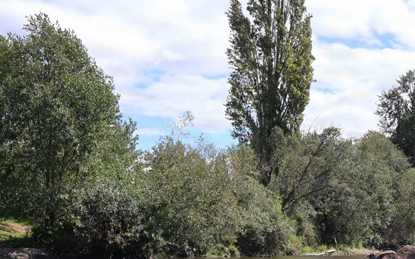 U.S. Army Corps of Engineers repairing City of Renton's Cedar River Levee