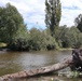 U.S. Army Corps of Engineers repairing City of Renton's Cedar River Levee
