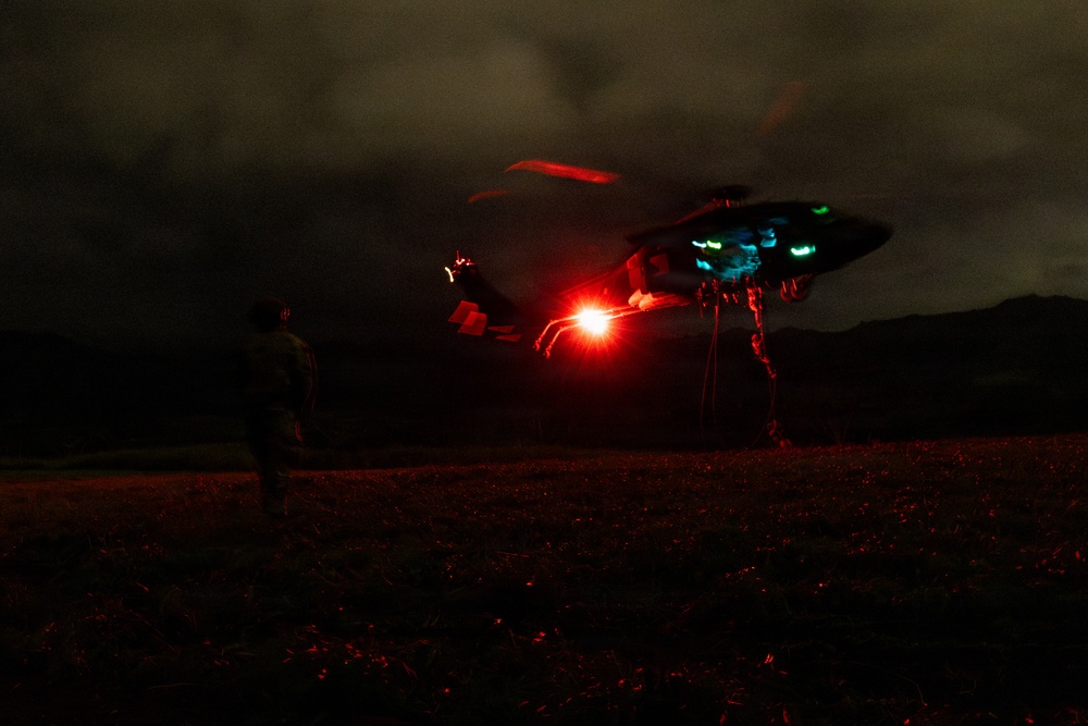 A nighttime scene showing a military helicopter in low hover or landing phase over an open field. A single person stands on the ground nearby, illuminated by the helicopter's bright red navigation/landing light. The scene is extremely dark with the aircraft and figure only visible due to the aircraft's navigation lights.