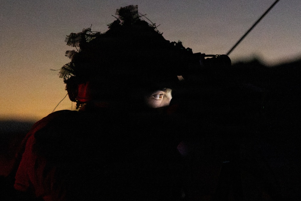 A soldier or military personnel is photographed at dusk or dawn while looking through an optical scope or sighting device. The subject wears a camouflaged helmet adorned with foliage and has hearing protection visible on the side. The dramatic low-light composition illuminates only the eyes and partial face, creating a stark contrast against the twilight sky.