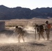 Three military personnel in desert camouflage uniforms are conducting a training exercise in an arid desert environment. They appear to be breaching or navigating through concertina/razor wire obstacles near a concrete wall structure. One individual wearing an orange safety vest is likely an observer or safety officer overseeing the exercise.