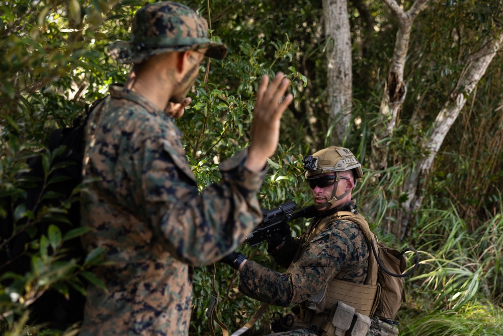 Two military personnel in woodland camouflage uniforms are engaged in what appears to be a tactical field exercise in a forested environment. One soldier wearing a tactical helmet and body armor is kneeling and holding a firearm, while the other is standing and using a hand signal. The setting suggests a training scenario or patrol operation in dense vegetation.