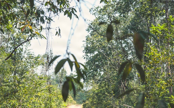A group of armed military personnel in mixed camouflage uniforms are conducting a patrol along a narrow dirt trail through dense tropical jungle. The foreground soldier wears Indonesian TNI (Tentara Nasional Indonesia) camouflage pattern with a circular unit patch and a black balaclava, while others behind wear various camouflage patterns including what appears to be US-style MultiCam. The scene suggests a joint military exercise or patrol operation in a tropical forest environment.
