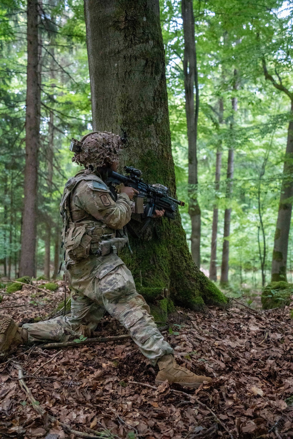 A U.S. Army soldier in full combat gear is kneeling behind a large moss-covered tree in a dense forest, aiming a rifle with an optic scope. The soldier is wearing Operational Camouflage Pattern (OCP) uniform with a camouflaged helmet, tactical vest, and full kit. The setting appears to be a training exercise in a European-style deciduous/mixed forest.