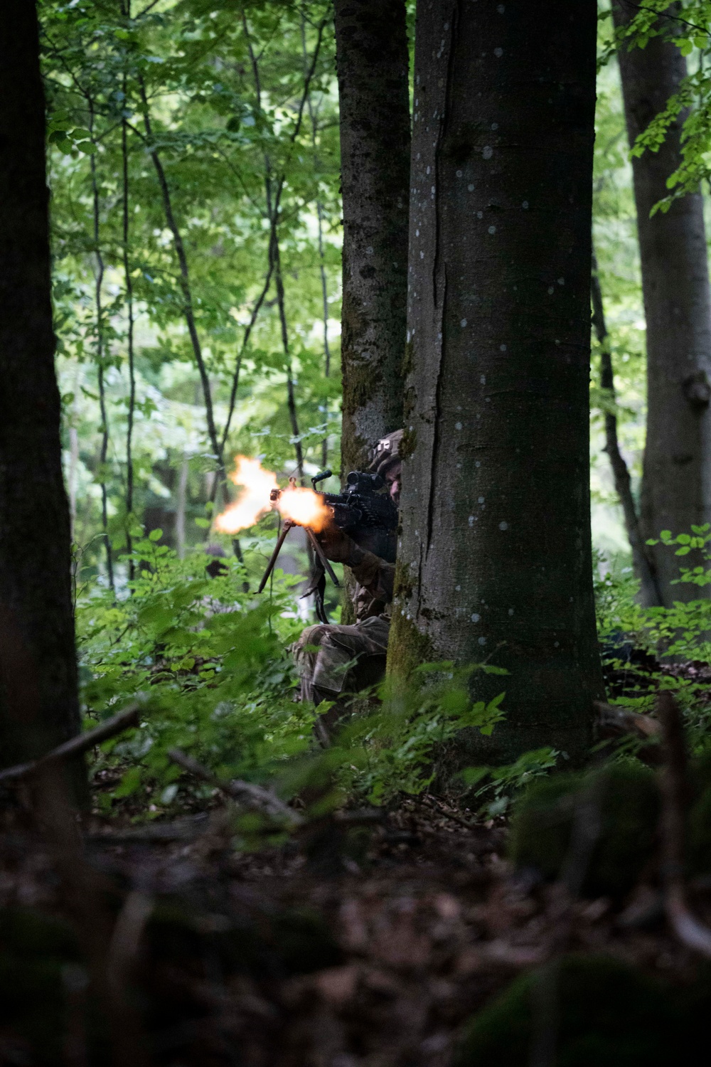 A camouflage-clad individual is positioned behind a large tree trunk in a dense deciduous forest, firing a weapon with a visible muzzle flash. The scene appears to depict a military training exercise or tactical operation in a woodland environment. The lush green foliage and leaf-covered forest floor suggest a temperate climate during summer or spring.
