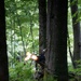 A camouflage-clad individual is positioned behind a large tree trunk in a dense deciduous forest, firing a weapon with a visible muzzle flash. The scene appears to depict a military training exercise or tactical operation in a woodland environment. The lush green foliage and leaf-covered forest floor suggest a temperate climate during summer or spring.