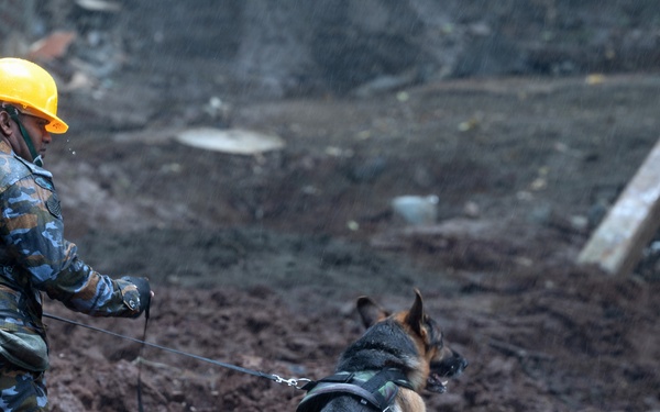 A military or rescue personnel wearing camouflage uniform and yellow hard hat is working with a German Shepherd search-and-rescue dog on heavily churned, muddy terrain. The scene appears to be a disaster response operation, likely following a landslide or building collapse, with debris and disturbed earth visible in the background. Rain appears to be falling during the operation.