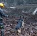 A military or rescue personnel wearing camouflage uniform and yellow hard hat is working with a German Shepherd search-and-rescue dog on heavily churned, muddy terrain. The scene appears to be a disaster response operation, likely following a landslide or building collapse, with debris and disturbed earth visible in the background. Rain appears to be falling during the operation.