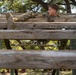 A soldier in camouflage uniform and combat boots is navigating a wooden obstacle course, appearing to crawl or pull themselves over horizontal wooden beams. The setting is an outdoor military training area surrounded by trees. The low-angle perspective emphasizes the layered wooden beam structure of the obstacle.