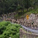 A large column of military personnel in camouflage uniforms and full gear are conducting a road march along a winding, wooded road. The group stretches far into the distance around a curve, suggesting a significant formation exercise or ruck march event. The setting appears to be a forested area with rocky outcroppings and guardrails along the roadway.
