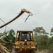 A yellow crawler bulldozer, marked 'IR-02' on its cab, is operating on a cleared dirt path surrounded by felled vegetation and dust. The machine is moving forward through what appears to be a land-clearing or road-construction operation in a tropical or subtropical environment. The foreground contains dry, dead branches framing the scene.