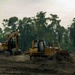 Two large yellow construction machines are actively clearing land at the edge of a dense tropical or subtropical forest. A tracked excavator and a bulldozer (branded 'SEM 816D') are operating on freshly cleared, bare earth. The background shows a wall of green trees, indicating active deforestation or land clearing activity.