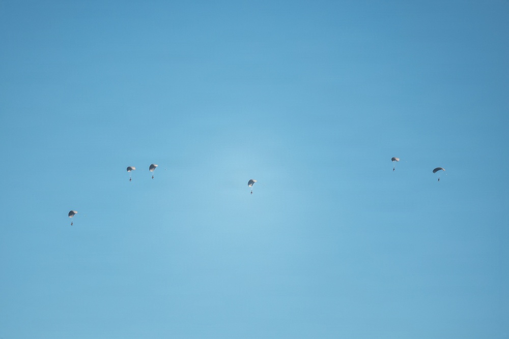 The image shows five parachutists descending through a clear blue sky. The parachutes appear small and distant, suggesting the subjects are at considerable altitude. The minimalist composition features only sky and the parachutists, with no ground or horizon visible.