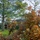 050917-m-5901f-001