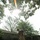 050917-m-5901f-005