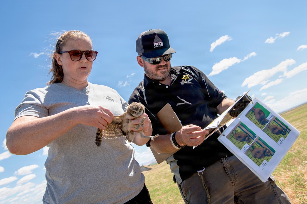 Oregon National Guard Soldiers and civilian employees learn about Eastern Oregon’s Borrowing Owls
