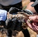 Oregon National Guard Soldiers and civilian employees learn about Eastern Oregon’s Borrowing Owls