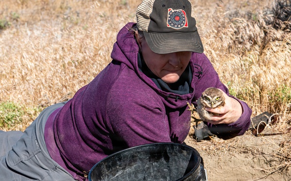 Oregon National Guard Soldiers and civilian employees learn about Eastern Oregon’s Borrowing Owls