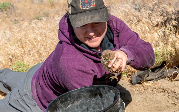 Oregon National Guard Soldiers and civilian employees learn about Eastern Oregon’s Borrowing Owls