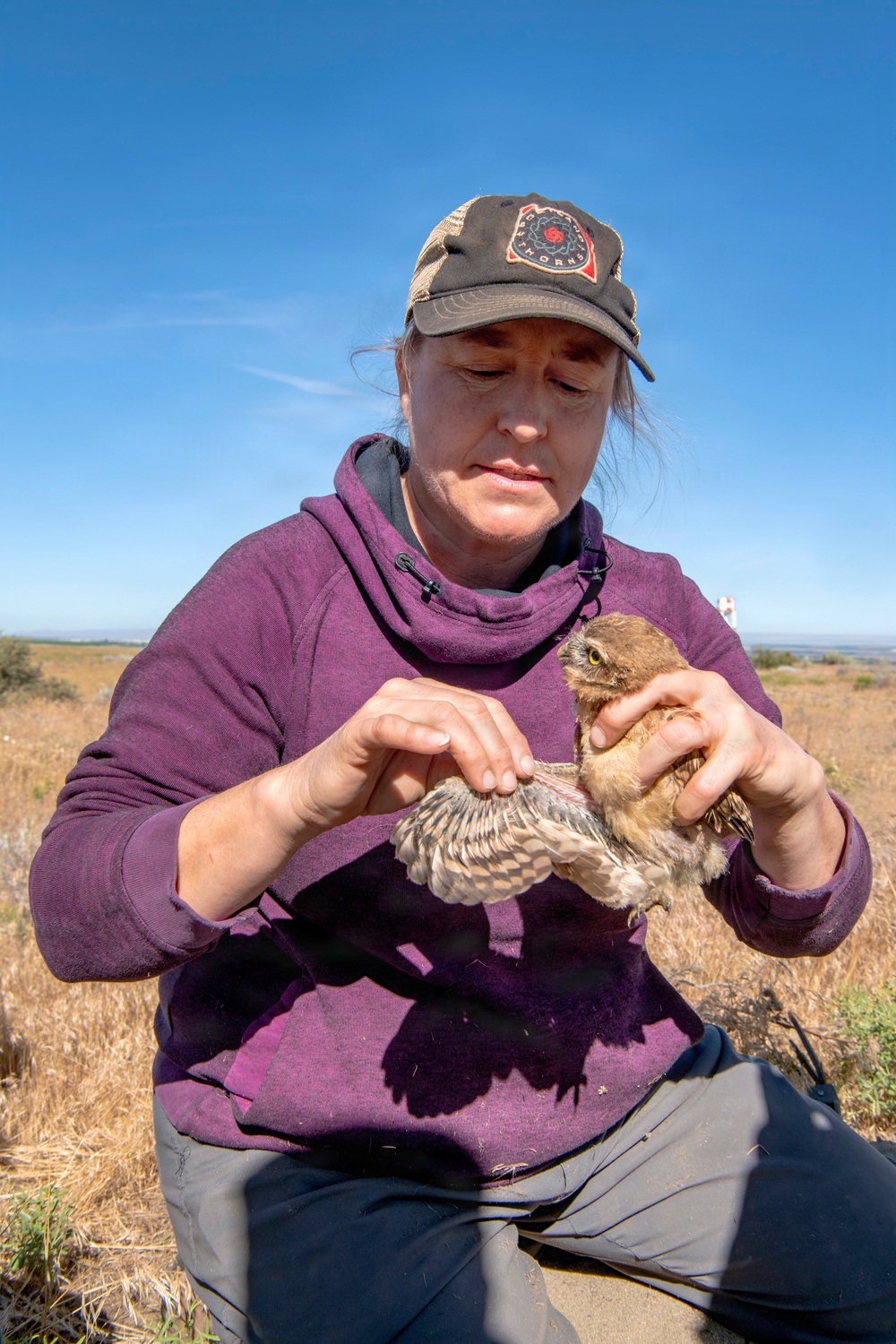Oregon National Guard Soldiers and civilian employees learn about Eastern Oregon’s Borrowing Owls