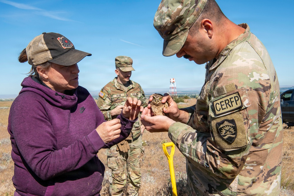 Oregon National Guard Soldiers and civilian employees learn about Eastern Oregon’s Borrowing Owls