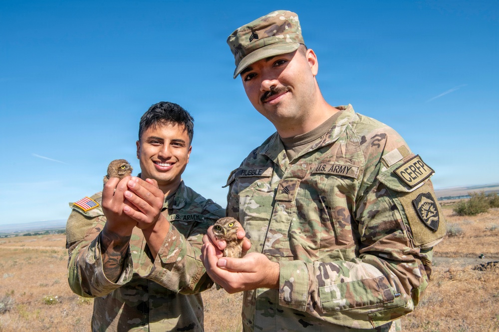 Oregon National Guard Soldiers and civilian employees learn about Eastern Oregon’s Borrowing Owls