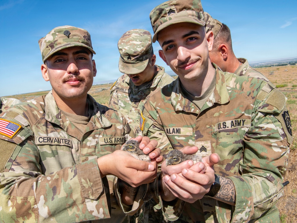 Oregon National Guard Soldiers and civilian employees learn about Eastern Oregon’s Borrowing Owls