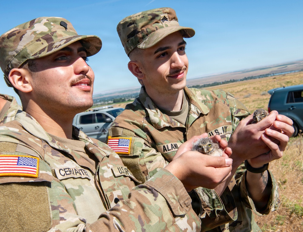 Oregon National Guard Soldiers and civilian employees learn about Eastern Oregon’s Borrowing Owls