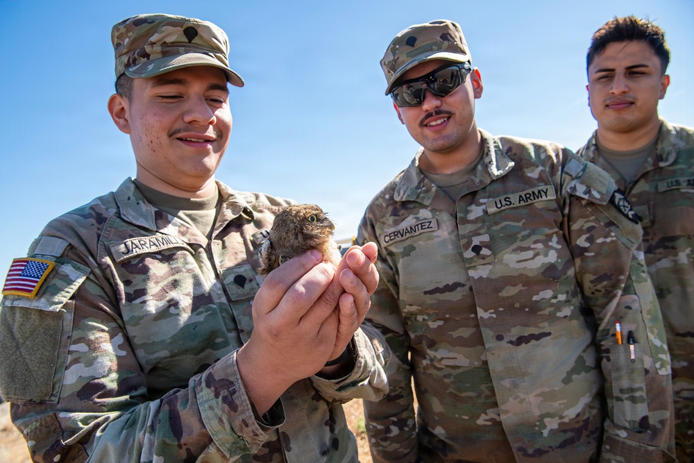 Oregon National Guard Soldiers and civilian employees learn about Eastern Oregon’s Borrowing Owls