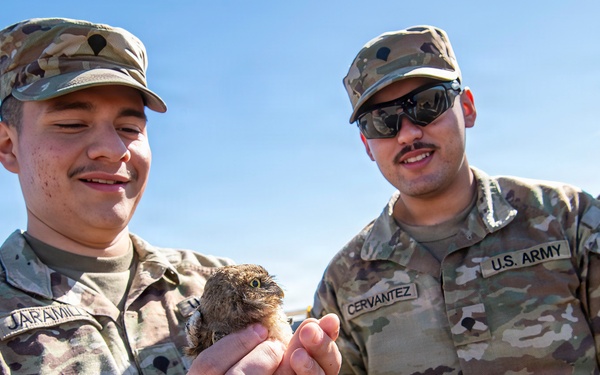 Oregon National Guard Soldiers and civilian employees learn about Eastern Oregon’s Borrowing Owls