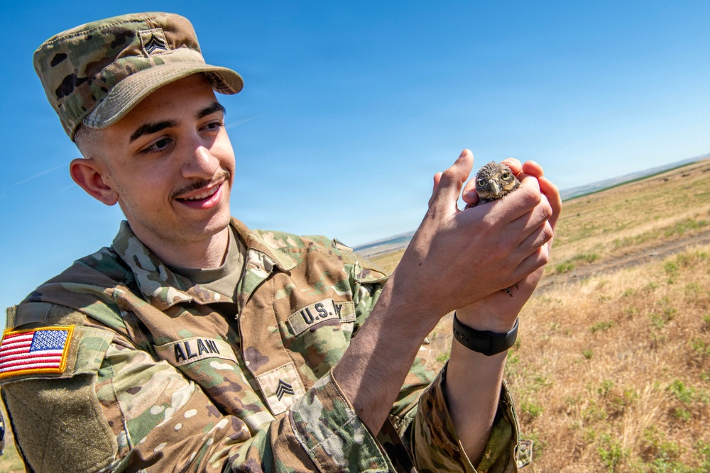 Oregon National Guard Soldiers and civilian employees learn about Eastern Oregon’s Borrowing Owls