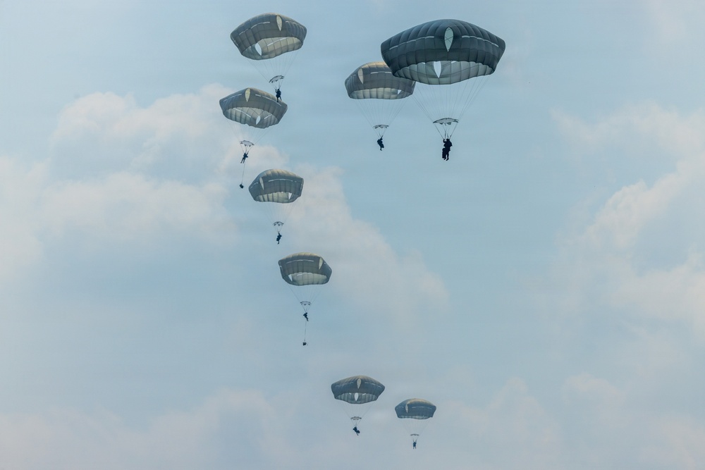 A military mass parachute jump is captured mid-air, showing approximately 10-12 paratroopers descending with round military-style parachutes against an overcast sky. The parachutes are gray/olive-drab in color, consistent with military static-line deployment canopies. The jumpers appear to be in a staggered vertical formation, suggesting they exited an aircraft in rapid succession.