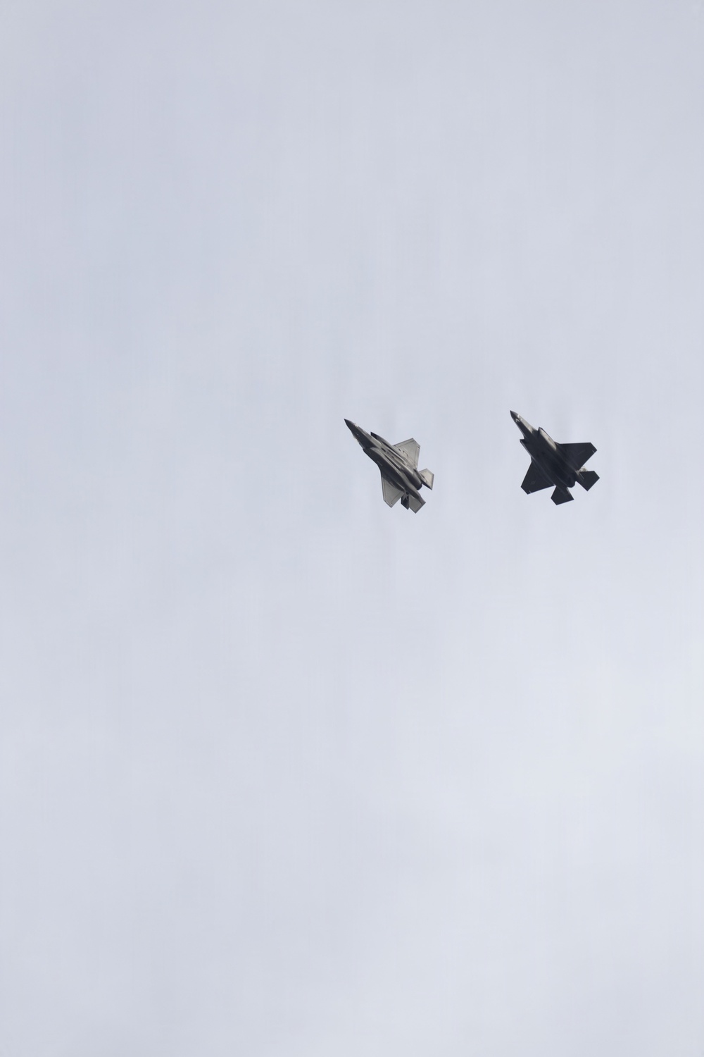 Two fifth-generation stealth fighter jets are flying in close formation against an overcast, pale grey sky. Both aircraft display the distinctive delta-wing and blended fuselage profile consistent with the F-35 Lightning II. The aircraft appear to be photographed from below at a slight angle, showing their ventral surfaces.