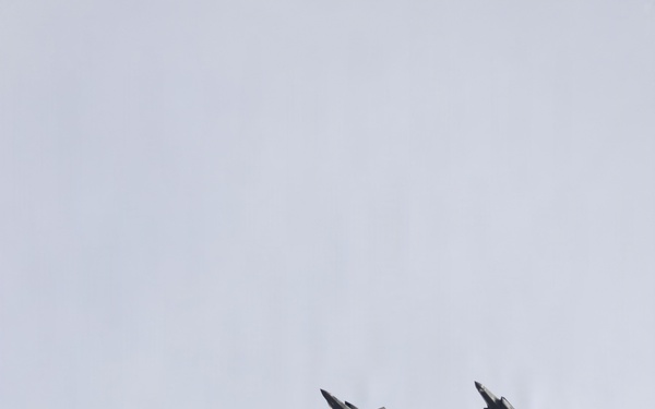 Two fifth-generation stealth fighter jets are flying in close formation against an overcast, pale grey sky. Both aircraft display the distinctive delta-wing and blended fuselage profile consistent with the F-35 Lightning II. The aircraft appear to be photographed from below at a slight angle, showing their ventral surfaces.